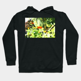 Orange and yellow flowers droplet sunshine Hoodie